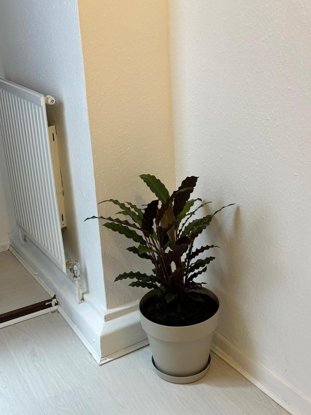 3 Bedroom King Cross Station City Centre Apartament Londra
